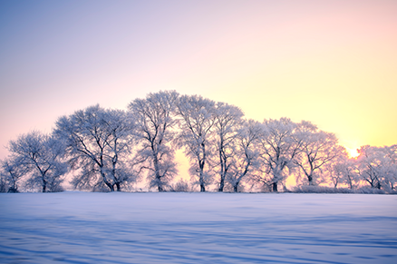 华体会在线登陆